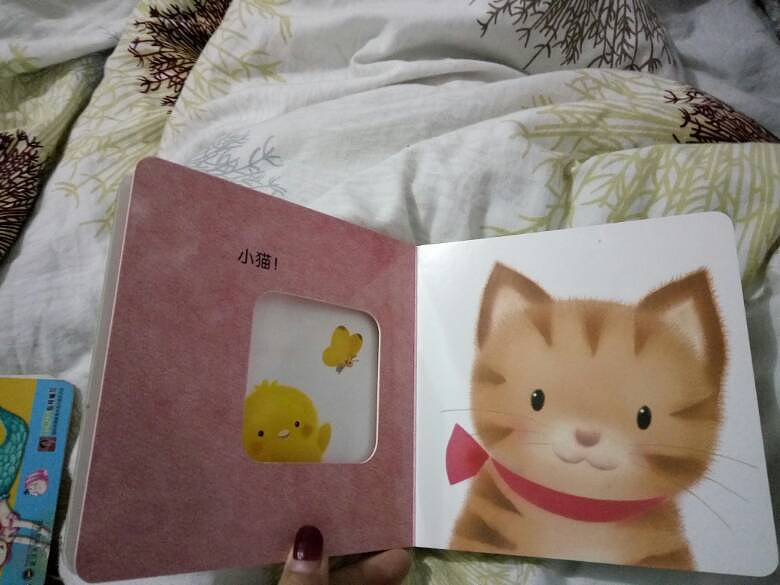 三月绘本叽叽叽是谁呀