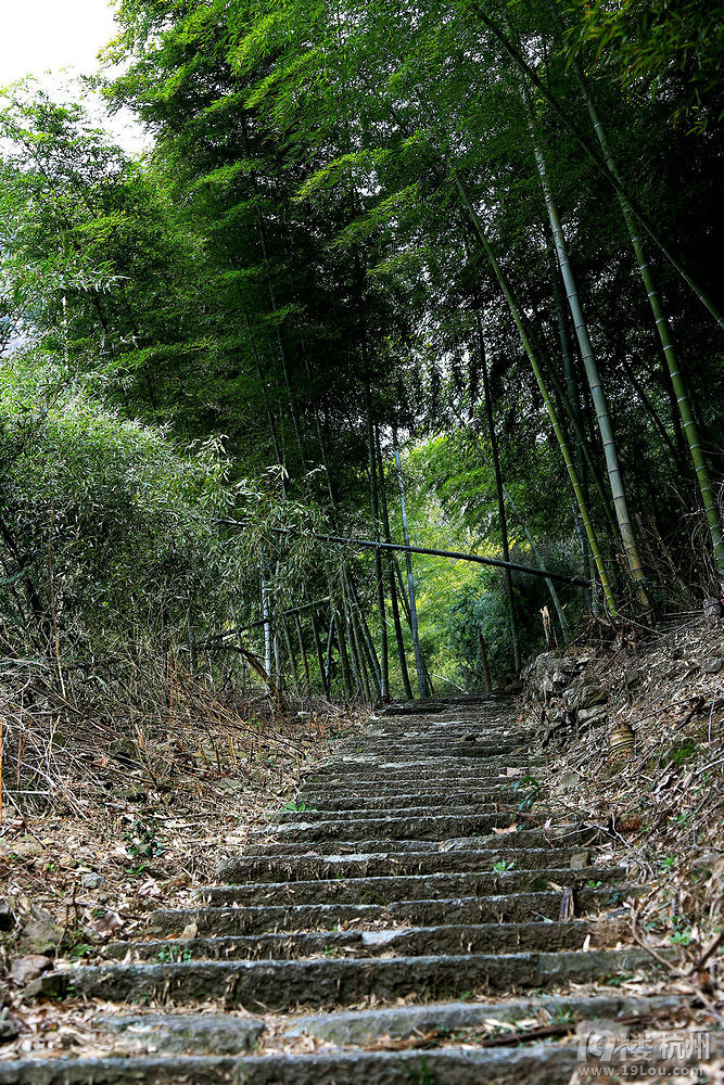 【三月尋春】浦江馬嶺美女峰
