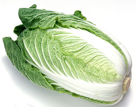 白菜，常吃白菜，却不了解它！