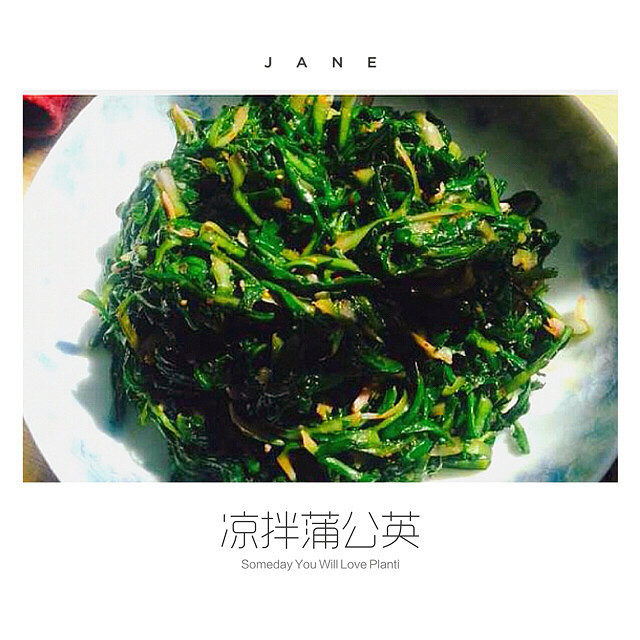 【吃春天】凉拌蒲公英