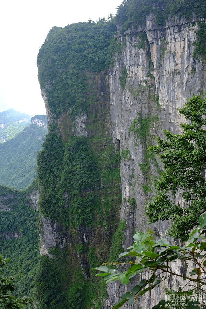 湘西自驾游：一山一世界（张家界，凤凰矮寨大桥）