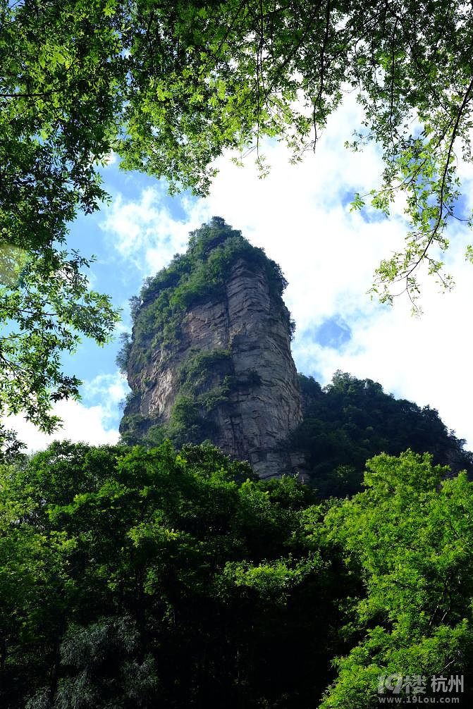 湘西自驾游：一山一世界（张家界，凤凰矮寨大桥）