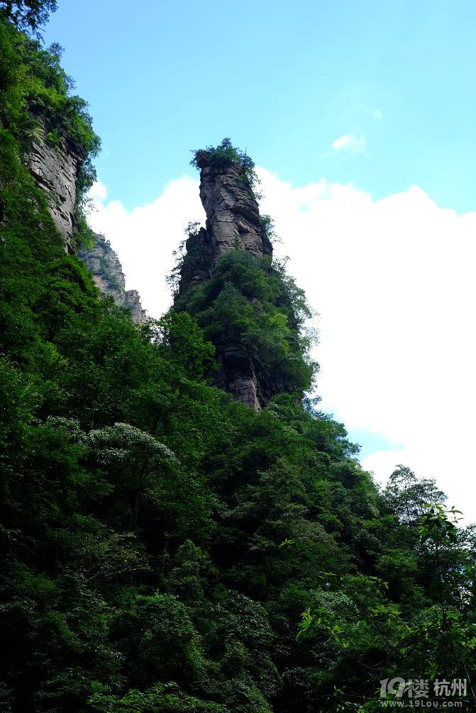 湘西自驾游：一山一世界（张家界，凤凰矮寨大桥）