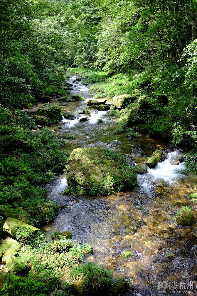 湘西自驾游：一山一世界（张家界，凤凰矮寨大桥）