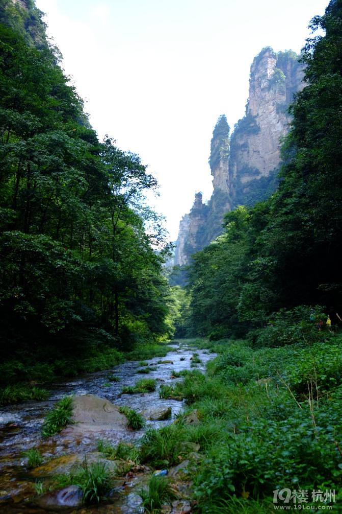 湘西自驾游：一山一世界（张家界，凤凰矮寨大桥）