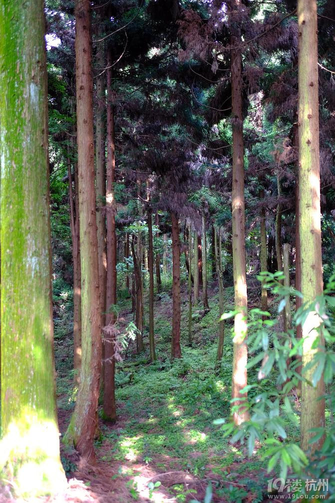 湘西自驾游：一山一世界（张家界，凤凰矮寨大桥）