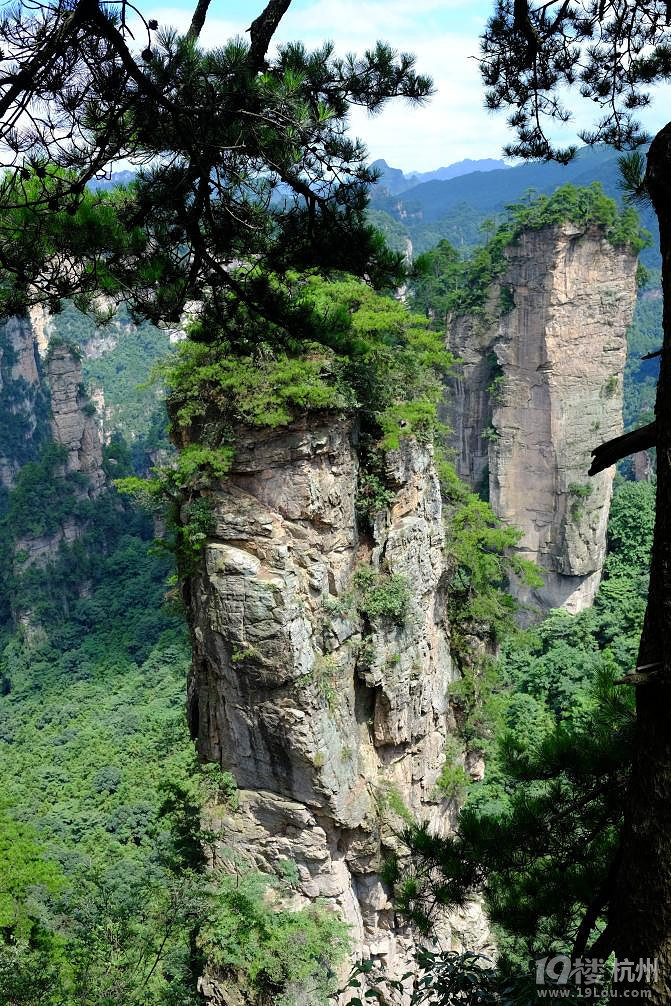 湘西自驾游：一山一世界（张家界，凤凰矮寨大桥）