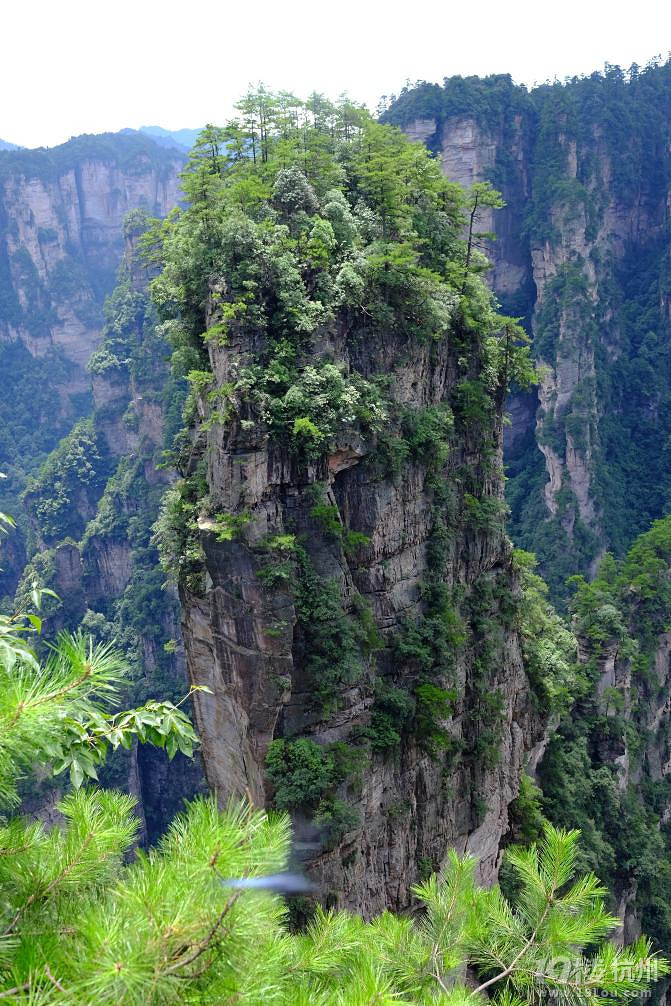 湘西自驾游：一山一世界（张家界，凤凰矮寨大桥）