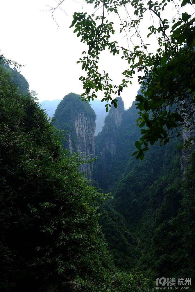 湘西自驾游：一山一世界（张家界，凤凰矮寨大桥）