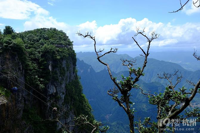 湘西自驾游：一山一世界（张家界，凤凰矮寨大桥）