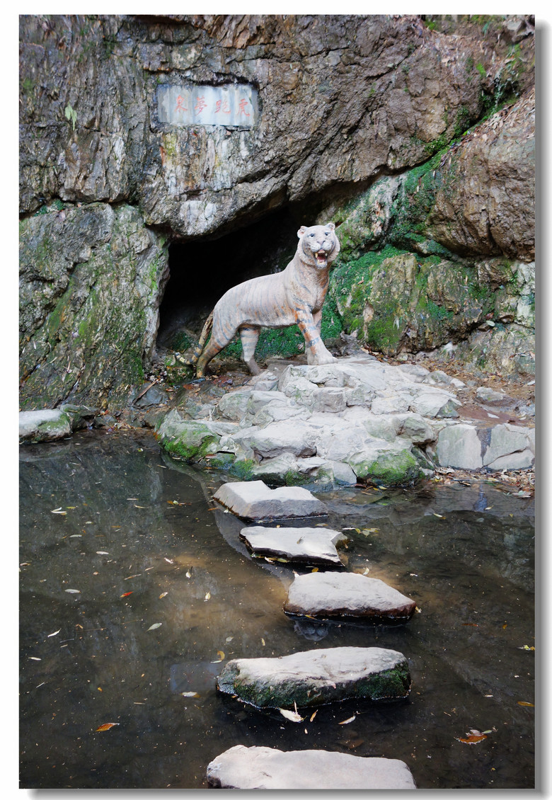 【天下第三泉随拍---虎跑泉】