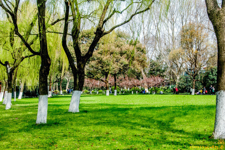 西子湖畔信步踏春-风景照-19摄区-杭州19楼