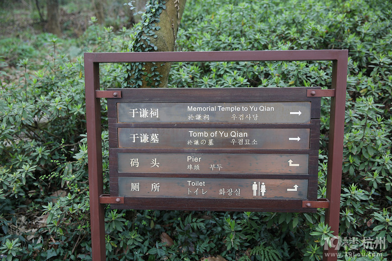 【三月尋春】杭州楊公堤茅家埠烏龜潭龍井茶茶博館踏春一日游