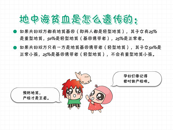 地中海贫血是什么主要症状有哪些