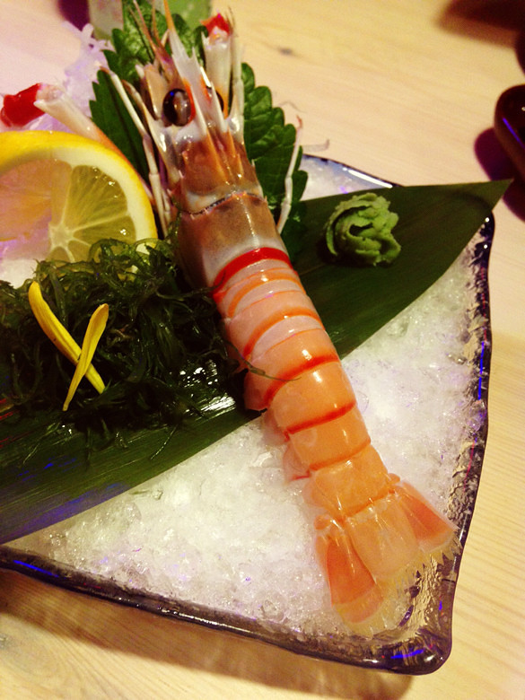 对比一下,敖虾确实大很多哦