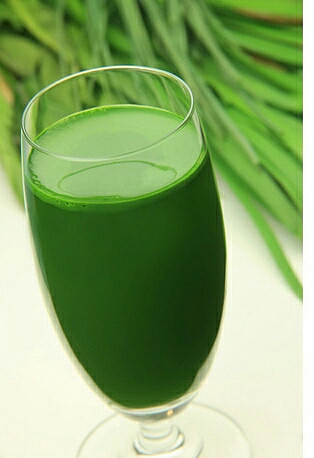 花红完美大麦若叶青汁真的好吗?有哪些功效?