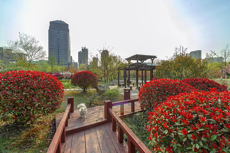 春天的城东公园(一)