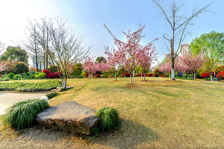 春天的城东公园(一)