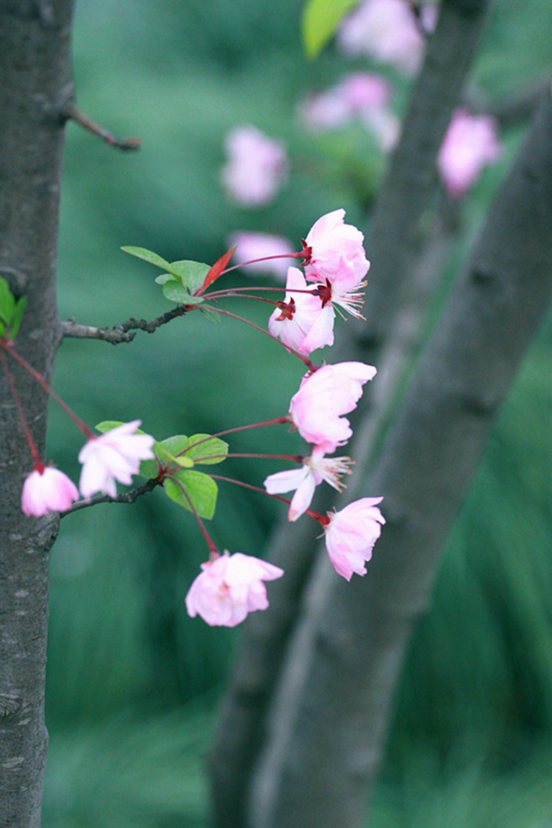 三月春光无限好