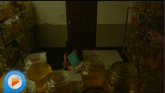 图解电影《疯魔美女》一位医生与七个护士的香