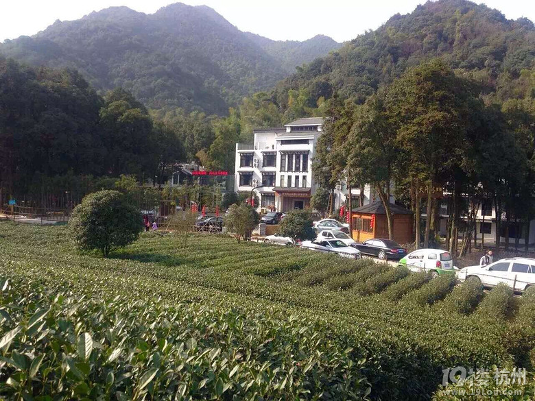 龙坞茶村西山森林公园大斗谷茶庄