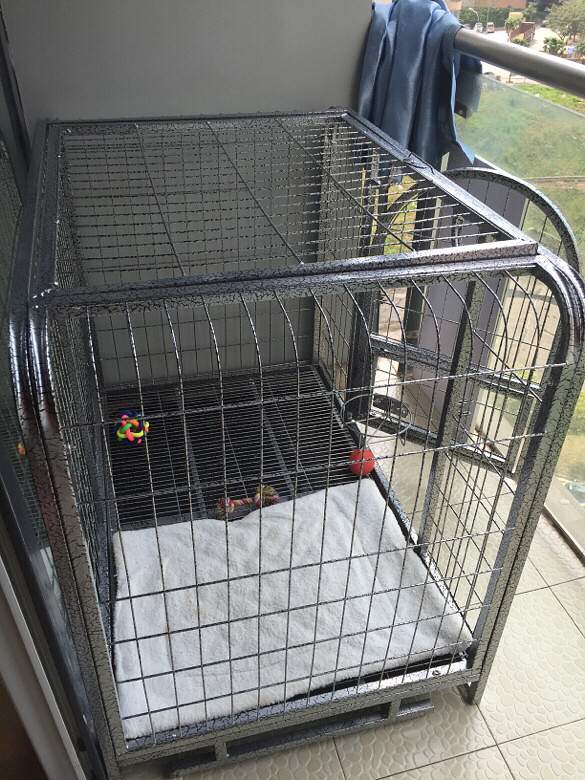 全新狗笼子转让