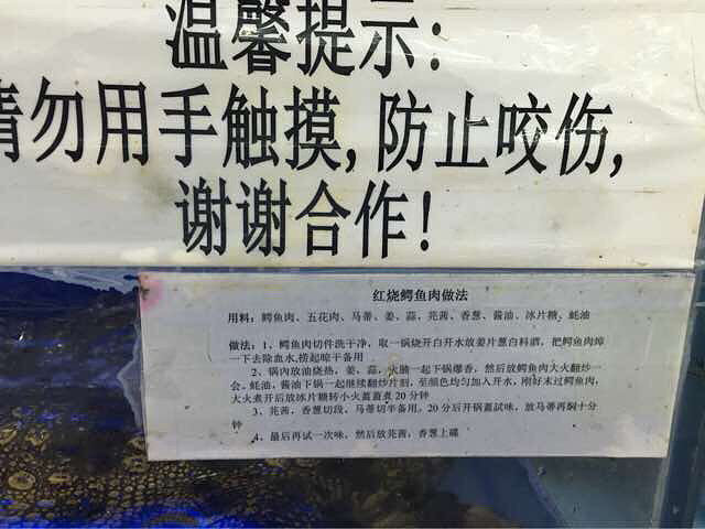 鳄鱼也能买来吃？