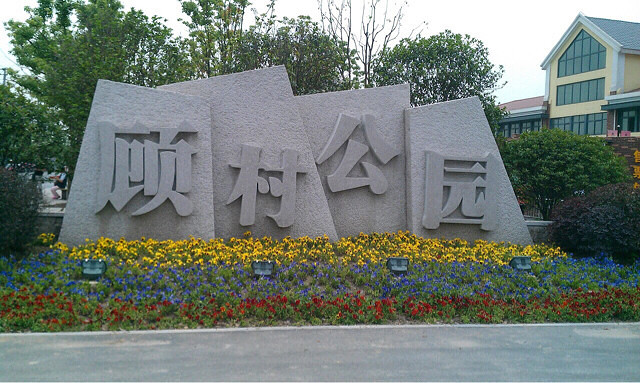 【花的世界】顾村公园门口摆拍花盆.