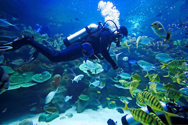 俱乐部仙本那之旅_杭州潜水__杭州19楼