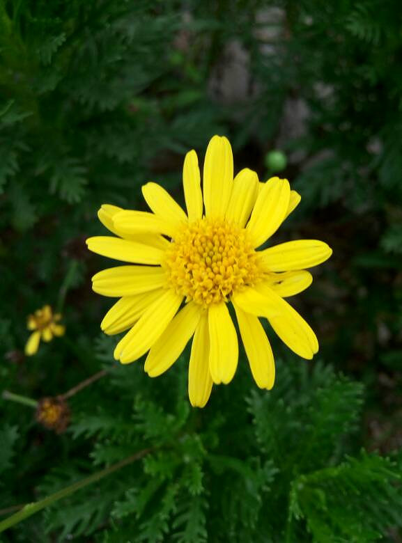 人生就要平淡,感情何必一般,和爱陪我们度