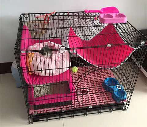 猫笼。本打算养小猫,后来领养了一只成年猫