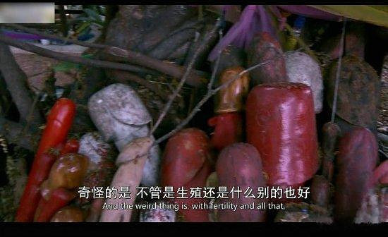 真变态!泰国人妖竟被老外玩的七荤八素_奇闻异事录__杭州19楼