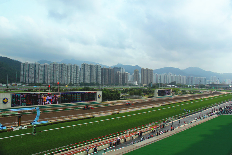 香港沙田賽馬場掠影