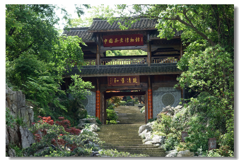 【龙井山园人文和绿色野趣】-风景照-19摄区-杭州19楼