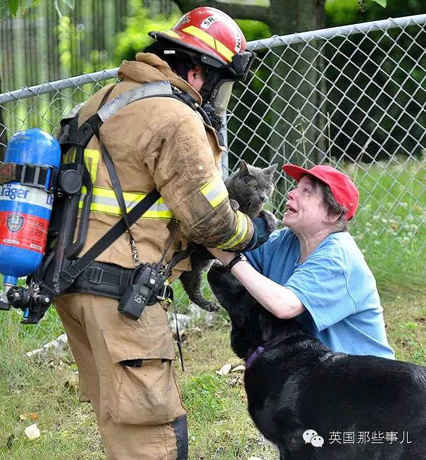 世界各地这无数救小动物的消防员蜀黍.然而俄罗斯的画风有点