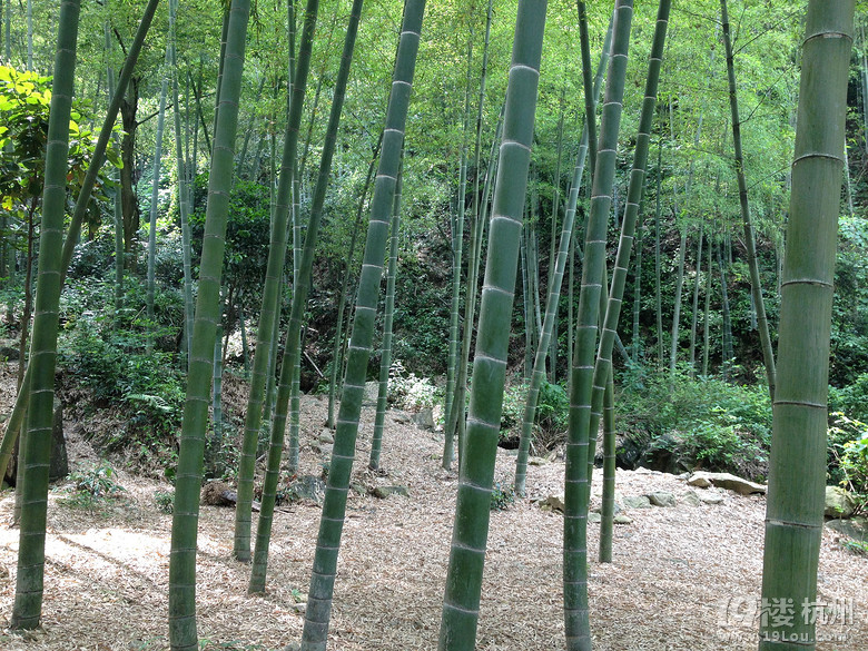 《美丽乡村》系列--跟我走吧天亮就出发，游欢潭村！