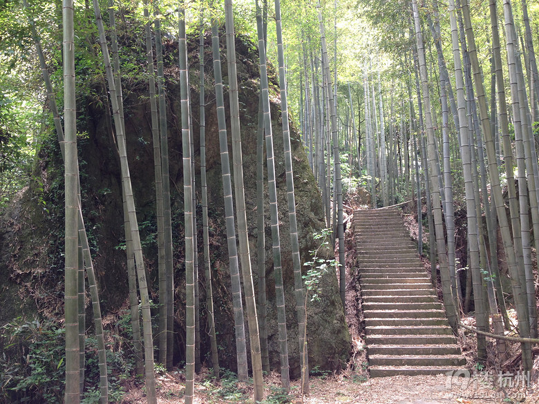 《美丽乡村》系列--跟我走吧天亮就出发，游欢潭村！