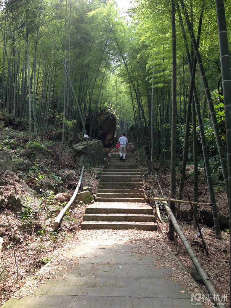 《美丽乡村》系列--跟我走吧天亮就出发，游欢潭村！