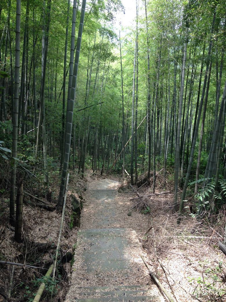 《美丽乡村》系列--跟我走吧天亮就出发，游欢潭村！