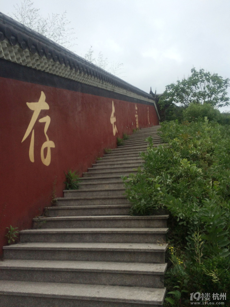 周日游德清塔山森林公园