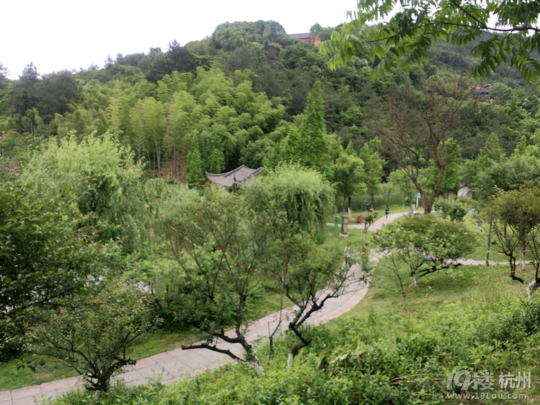 周日游德清塔山森林公园