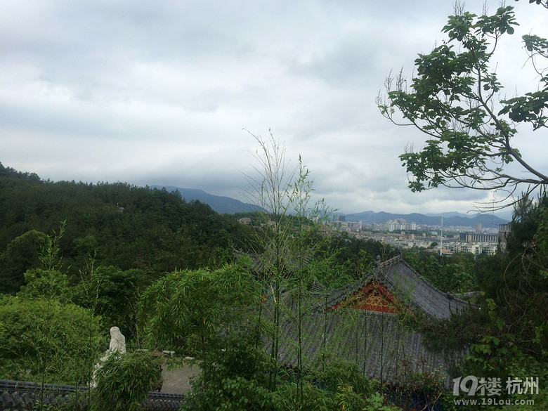 周日游德清塔山森林公园