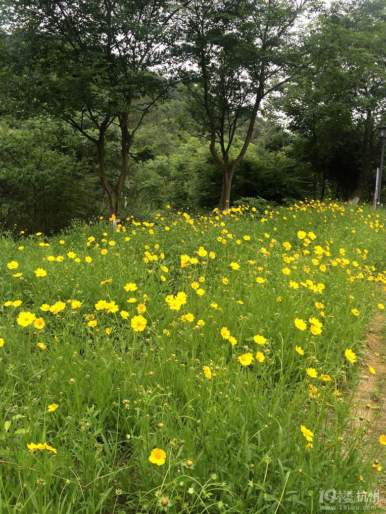 周日游德清塔山森林公园