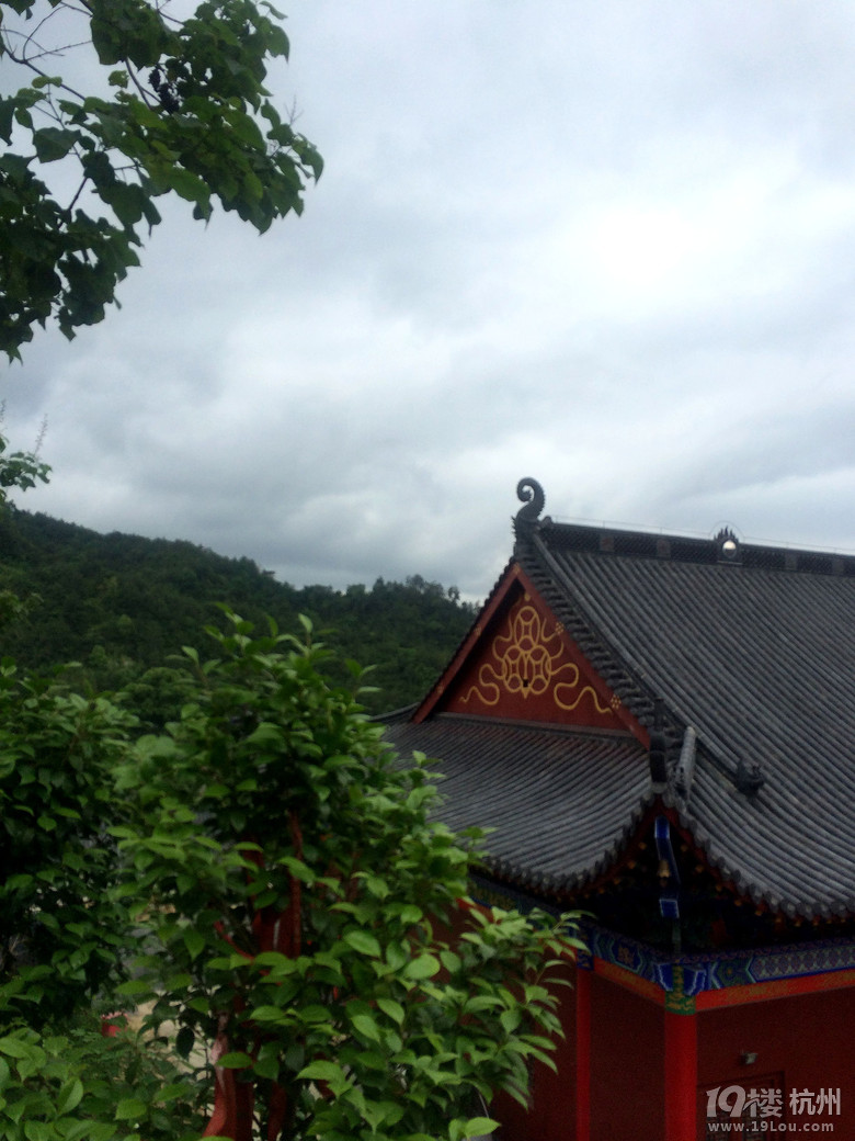 周日游德清塔山森林公园