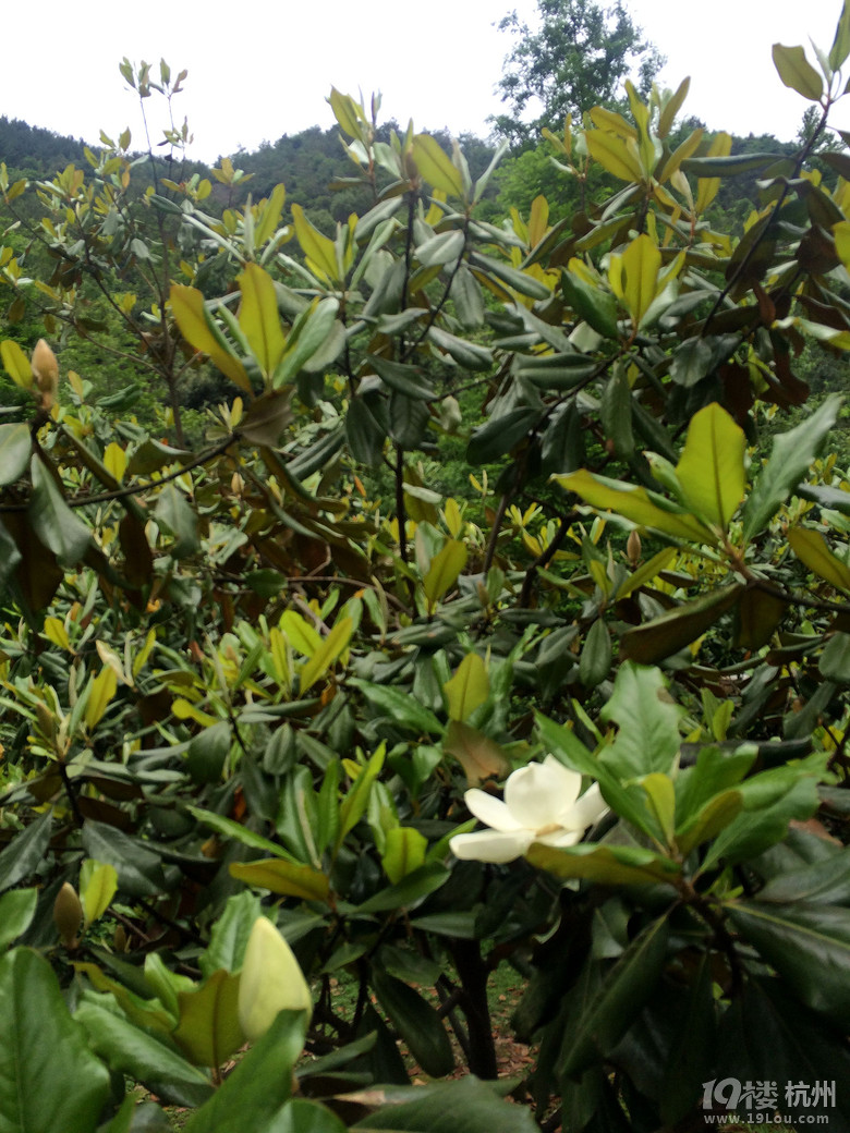 周日游德清塔山森林公园