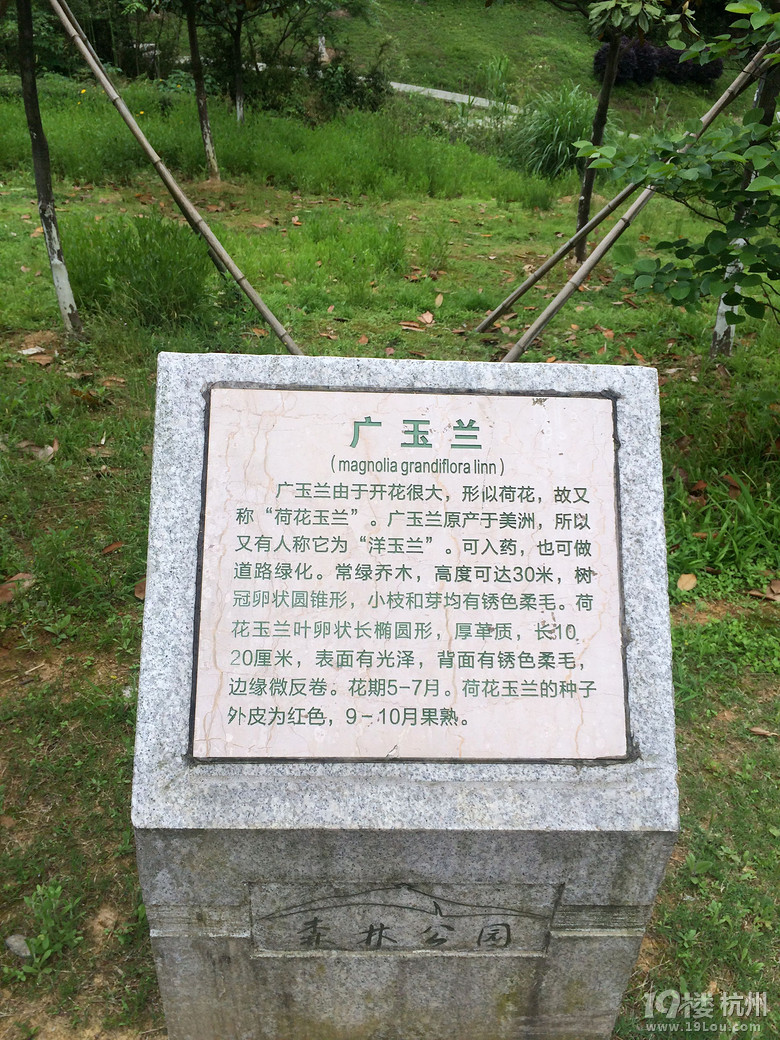 周日游德清塔山森林公园