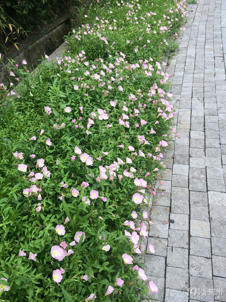周日游德清塔山森林公园
