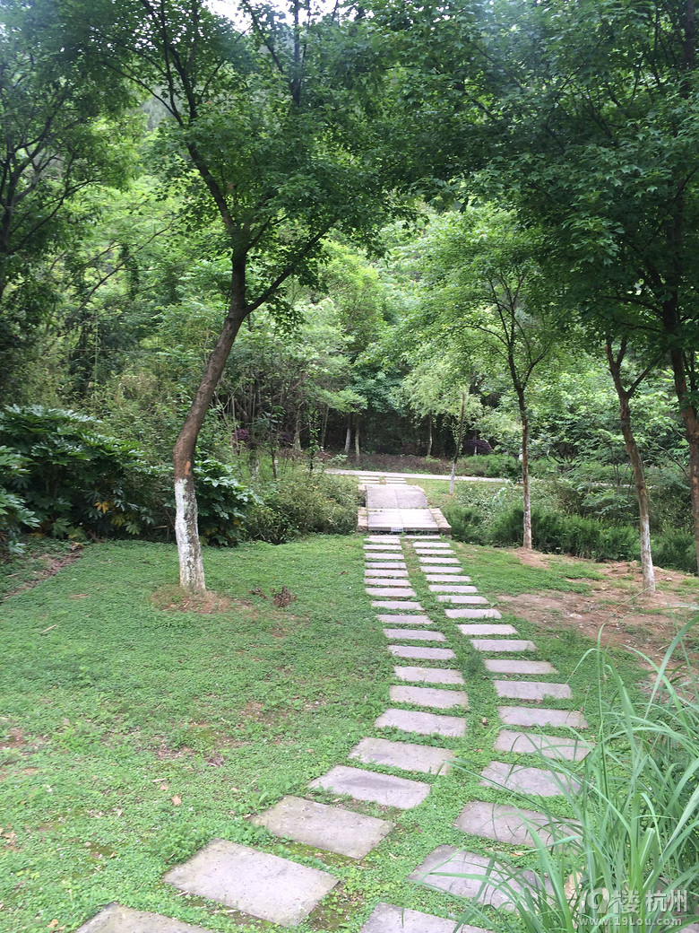周日游德清塔山森林公园