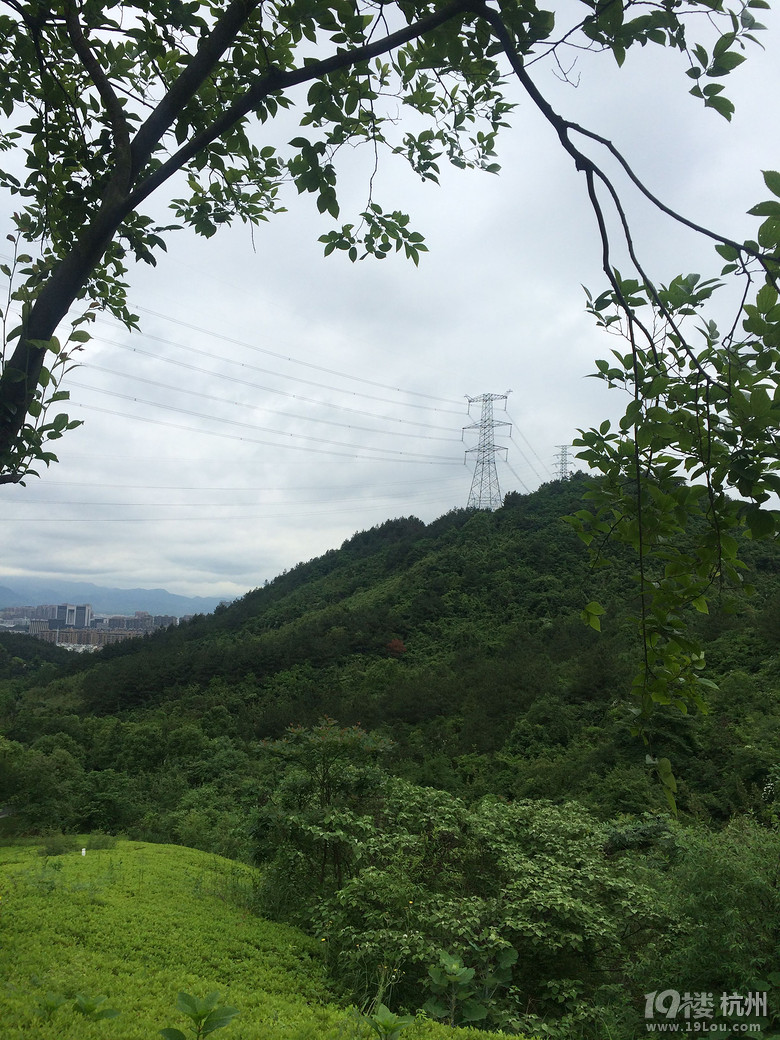 周日游德清塔山森林公园