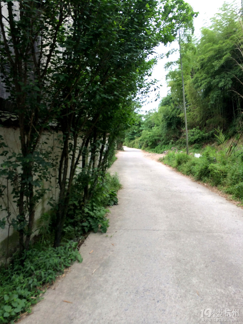 周日游德清塔山森林公园